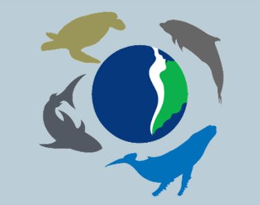 Observación del Océano